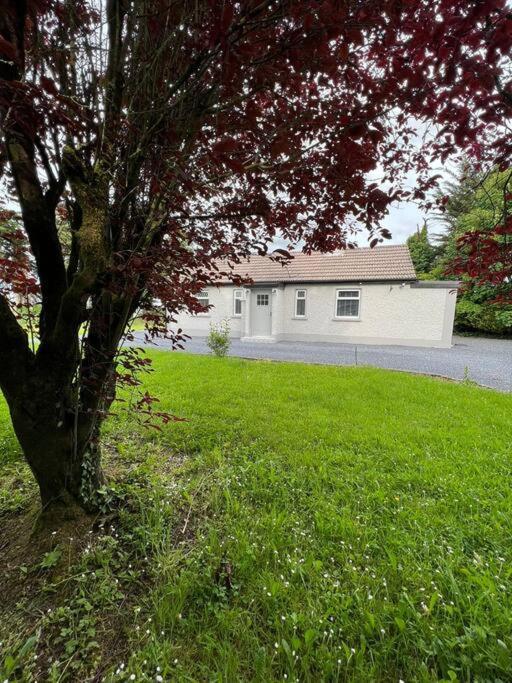 Ballybur Cottage Килкенни Экстерьер фото